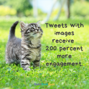 social media success image type